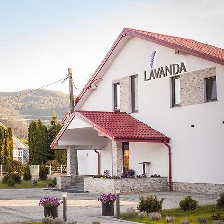 Pensiunea Lavanda, Piatra-Neamt Piatra Neamţ Buitenkant foto