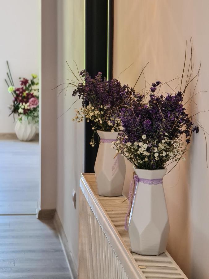 Pensiunea Lavanda, Piatra-Neamt Piatra Neamţ Buitenkant foto